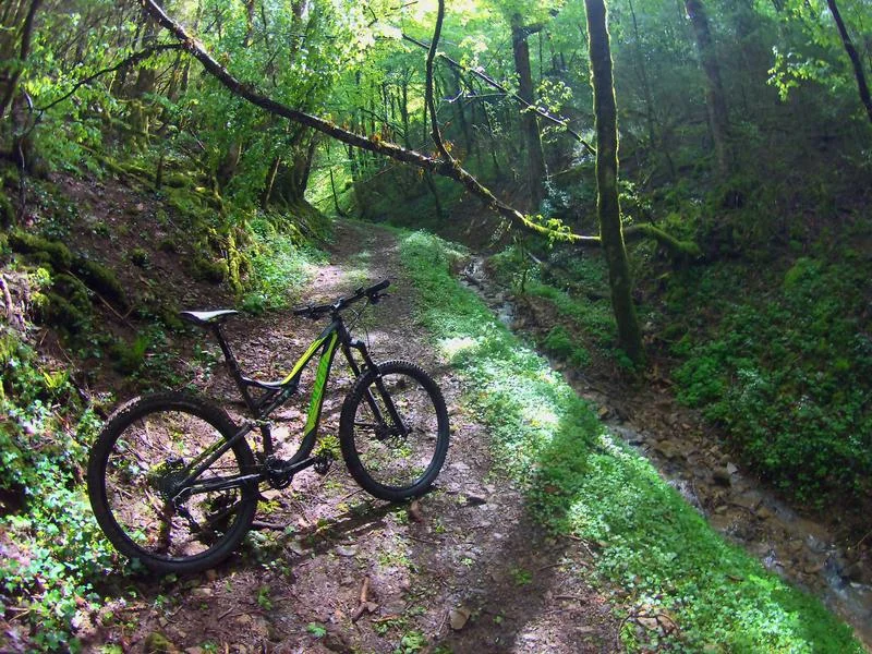 VTT Circuit VTT n°4 (rouge) - Forêt et contreforts du Revermont — Val-Revermont