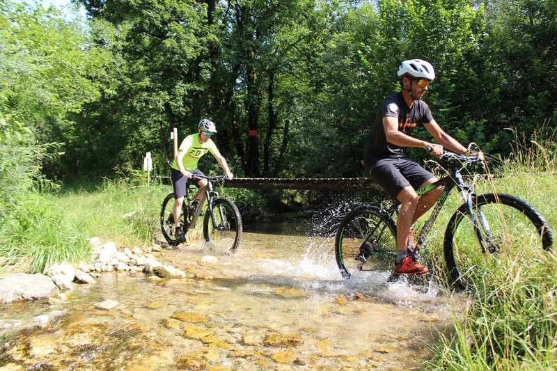 VTT Parcours VTT 51 bleu - Marais de Vaux les Teillères - Espace FFC Ain Forestière — Plateau d'Hauteville