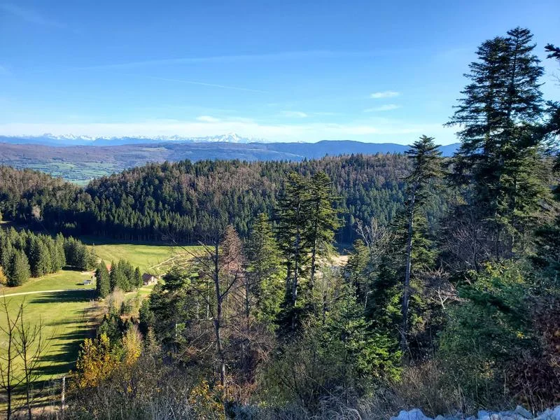 VTT Parcours VTT 62 vert - Le Liaz d'Amont - Espace FFC Ain Forestière — Plateau d'Hauteville