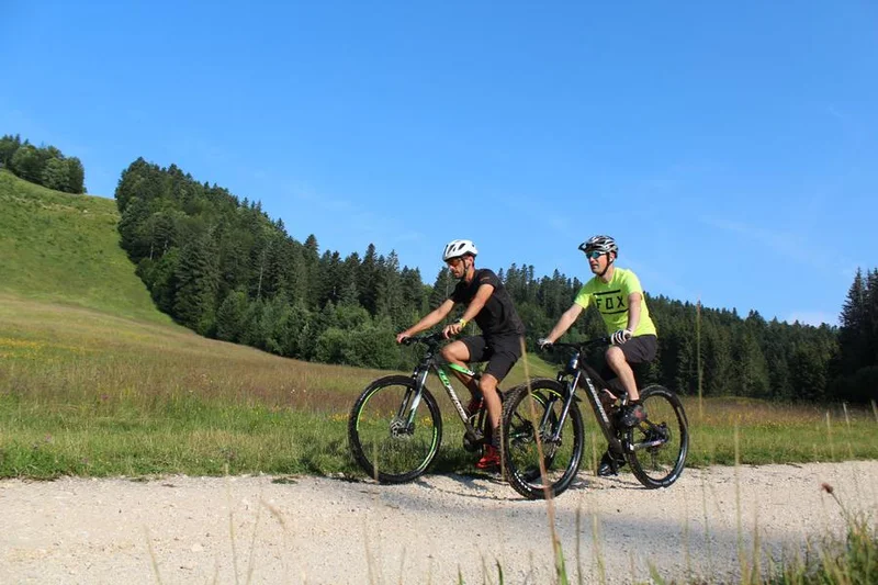 VTT Parcours VTT 63 bleu - La Borne des 3 Cantons - Espace FFC Ain Forestière · Plateau d'Hauteville