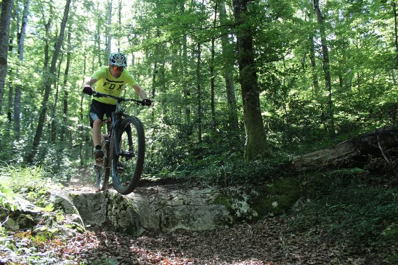 VTT Parcours VTT 54 bleu - Aranc et les Hauts d'Evosges - Espace FFC Ain Forestière — Aranc