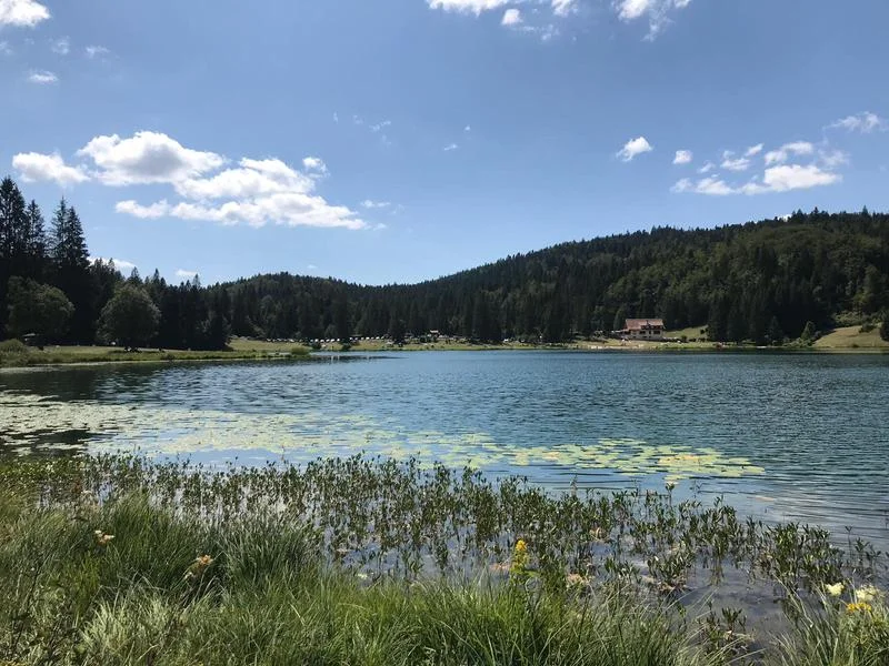 VTT Parcours VTT 68 bleu - Lac Genin et les bois de Puthod et des Millières - Espace FFC Ain Forestière — Charix
