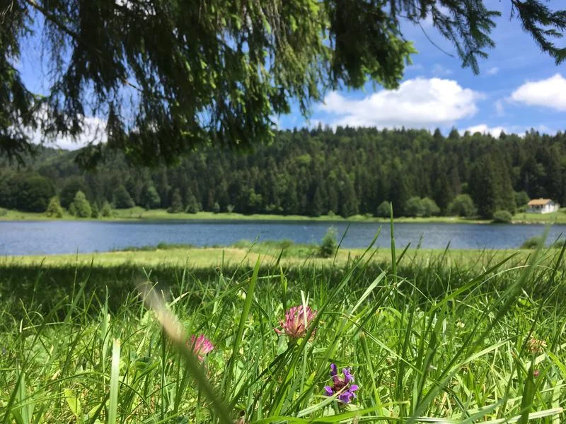 VTT Parcours VTT 67 vert - Lac Genin et les hauts de Charix - Espace FFC Ain Forestière — Charix