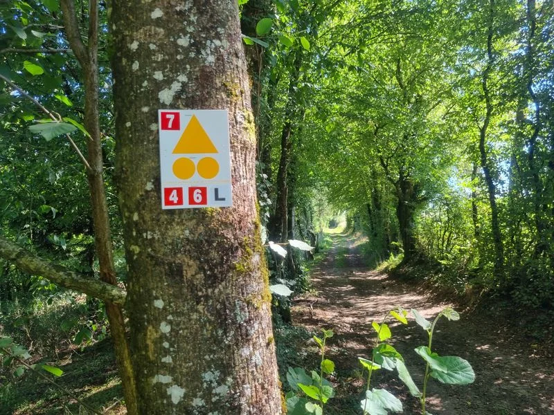 VTT Circuit VTT-VTC n°6 (rouge) Chemins des bois de Bresse — Marboz