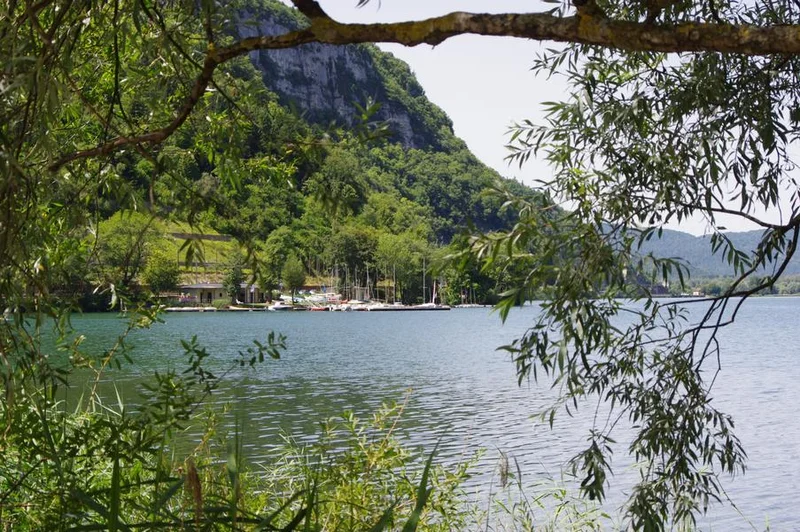 VTT Parcours VTT 66 bleu - Forêt de Coléjard - Espace FFC Ain Forestière — Nantua