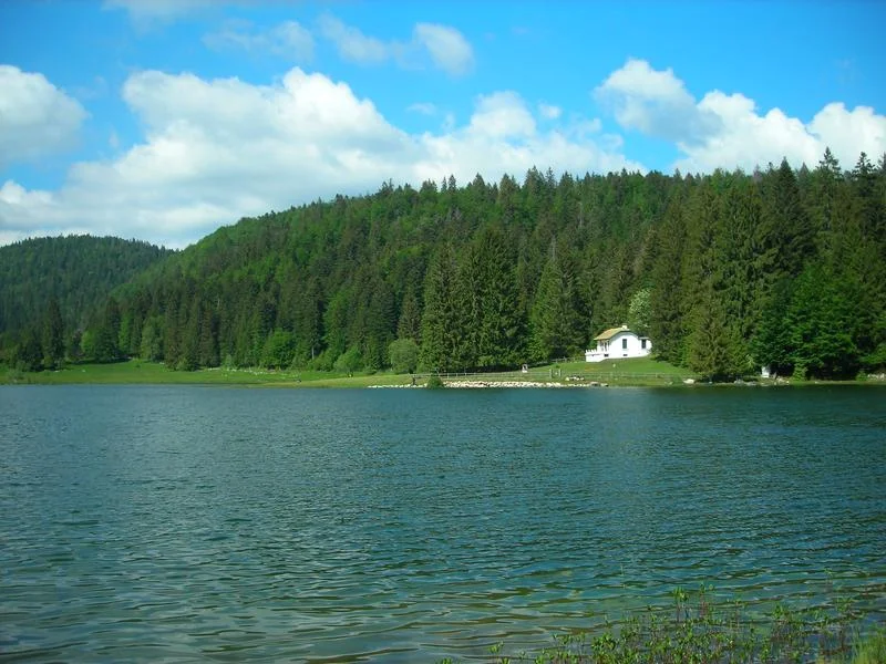 VTT Parcours VTT 70 rouge - D'Oyonnax au lac Genin - Espace FFC Ain Forestière — Oyonnax