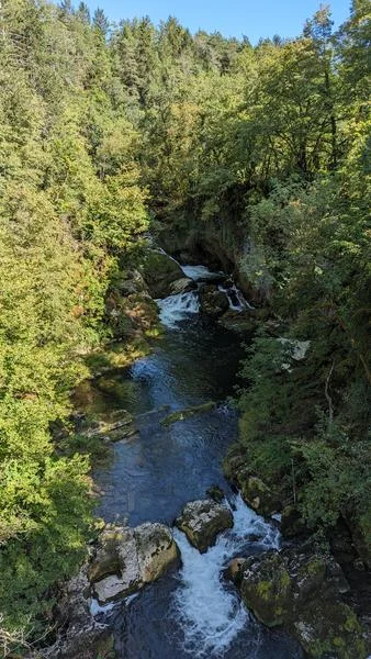 VTT Parcours VTT 72 Rouge - Des Gorges de l'Oignin aux Gorges de l'Ain - Espace FFC Ain Forestière — Samognat