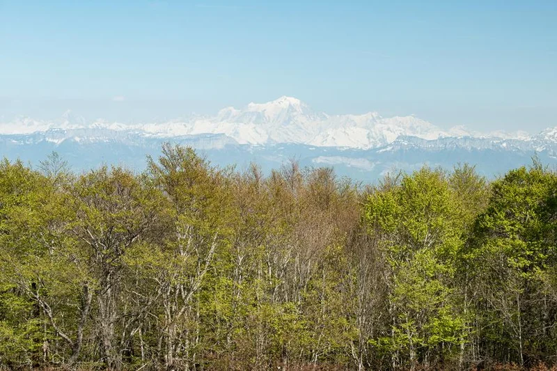 VTT Parcours VTT rouge N°40 - Boucle de Sur-Lyand - Espace FFC Ain Forestière — Corbonod