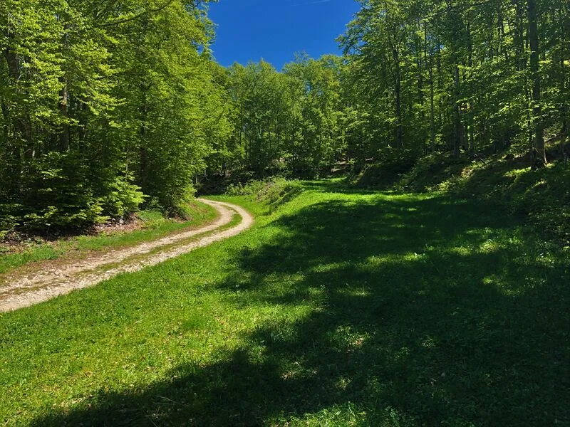 VTT Parcours VTT 13 rouge - Le sud du Plateau de Retord - Espace FFC Ain Forestière — Haut Valromey