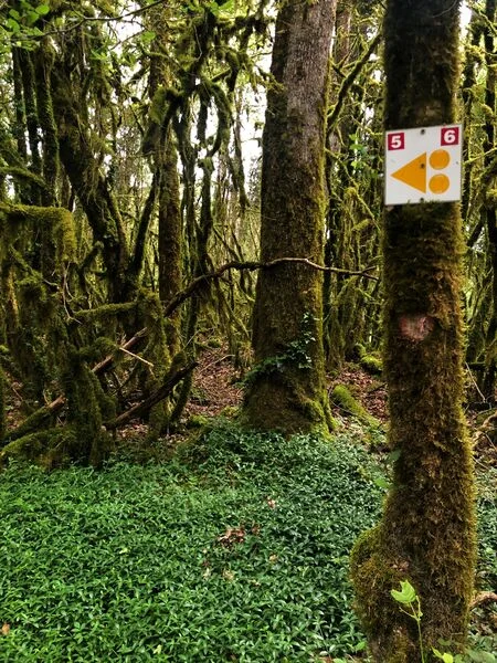 VTT Parcours VTT 6 rouge - Les Enfants du Marais - Espace FFC Ain Forestière — Belley