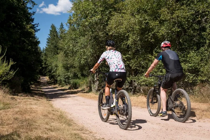 VTT N°5 - la Bernarde — Renaison