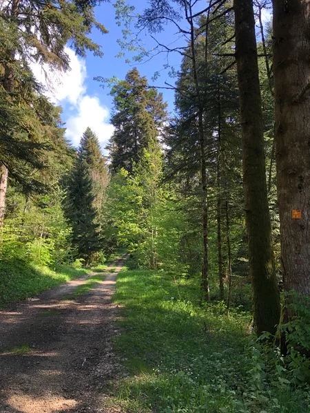 VTT Tour de Pays VTT Bugey - Grand Colombier - Espace FFC Ain Forestière : étape 1 Culoz - La Praille — Culoz