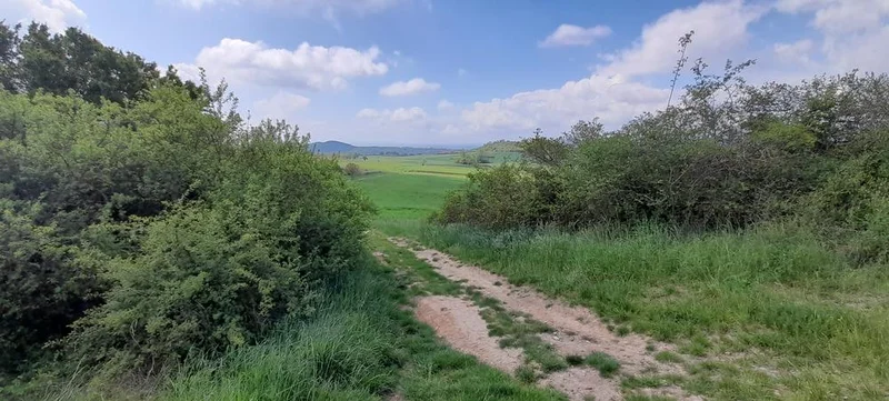 VTT Circuit VTT Pays d'Issoire côté Livradois - Etape 2 — Le Vernet-Chaméane