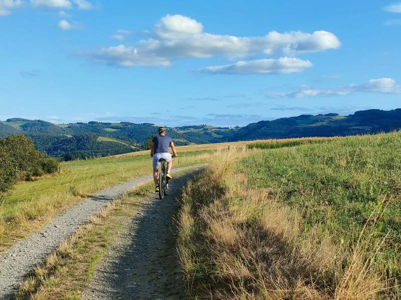 VTT Circuit VTT 112 - La voie romaine — Brussieu