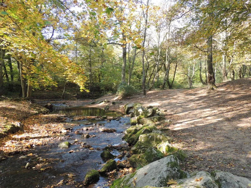 VTT Circuit VTT 200 - Le Garon — Brignais