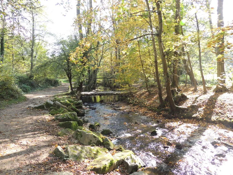 VTT Circuit VTT 212 -La Vallée en Barret — Chaponost