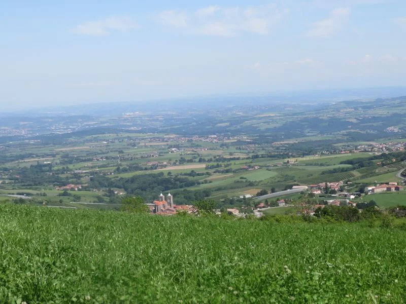 VTT Circuit VTT 160  - Les Coteaux de Chabanière — Mornant