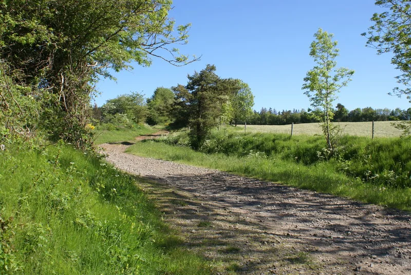 VTT Circuit VTT n°14 : Les Hauts de Pierrefort · Pierrefort