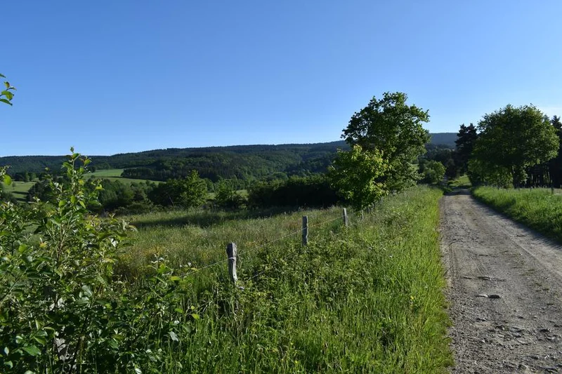 VTT Circuit VTT n°33 : Le Ruisseau de Lafont - Ruynes en Margeride — Ruynes-en-Margeride