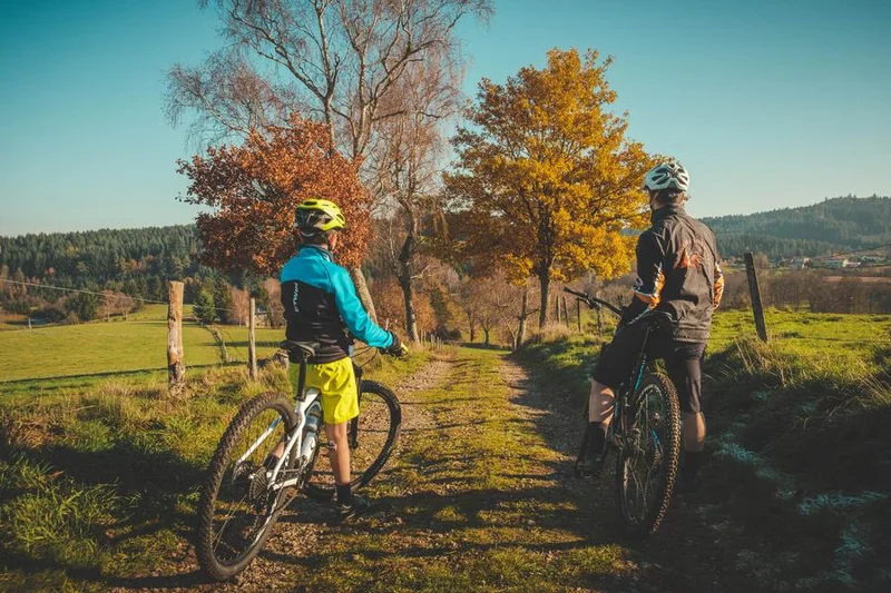 VTT N°13 - du Gamay à la Côte — Renaison