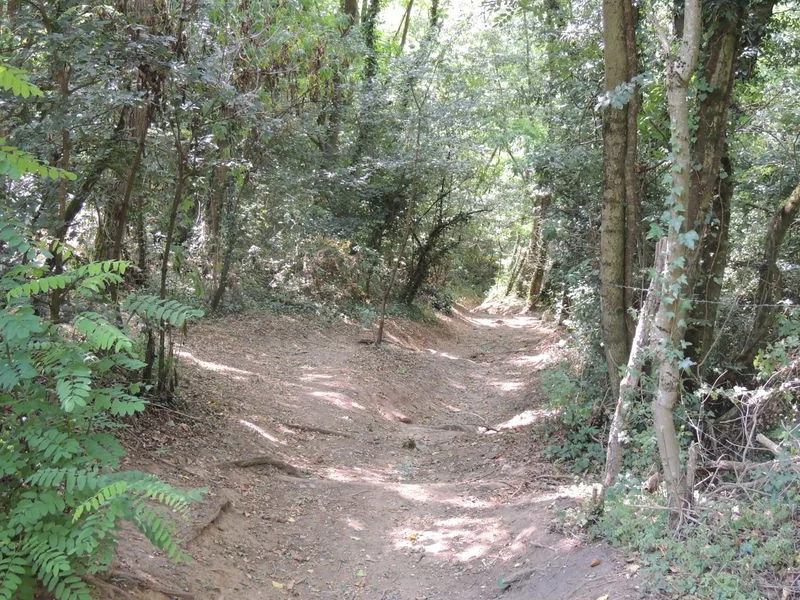 VTT Circuit VTT 202 - Les Lapins — Brignais