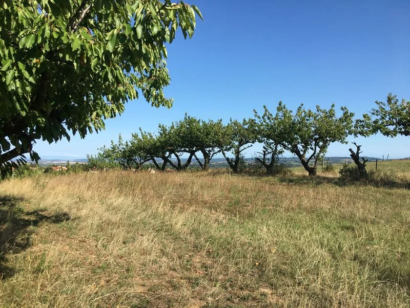 VTT Circuit VTT 240 - Maison Forte — Vourles
