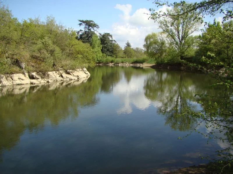 VTT Circuit VTT 157 - Les landes entre vignes, vergers et combes — Mornant