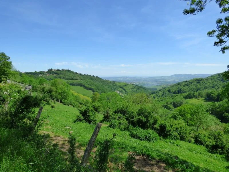 VTT Circuit VTT 170  - Le Grand Tour du Pays Mornantais — Mornant