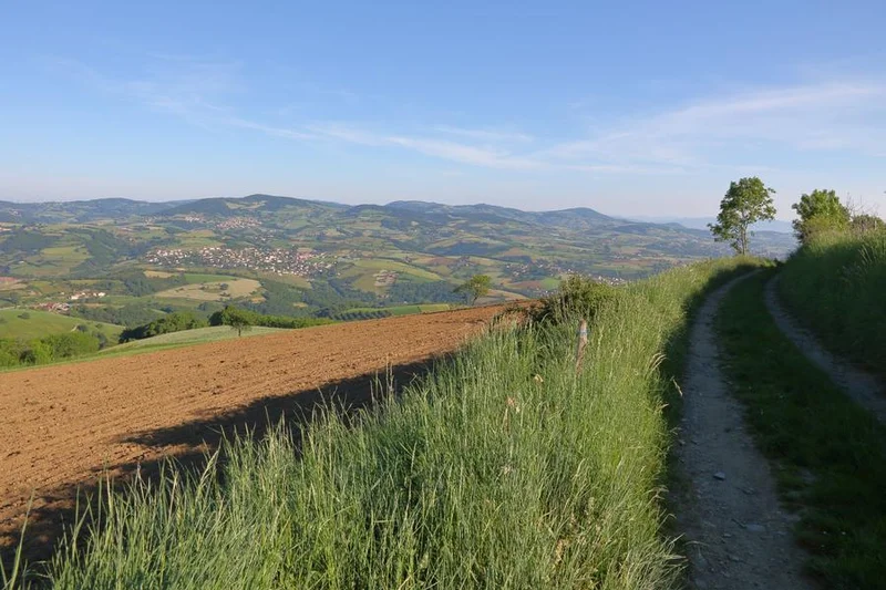 VTT Circuit VTT 67 - La Croix de Pars — Courzieu