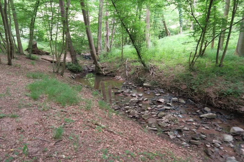 VTT Circuit VTT 59 - La Boucle du Maligneux — Dommartin