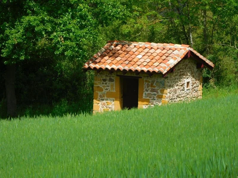 VTT Circuit VTT 56 - La cabane de vigne — Éveux
