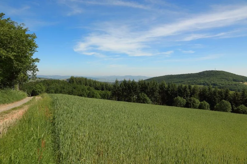 VTT Circuit VTT 73 - Entre Mont Popey et Crêt d'Arjoux — Savigny