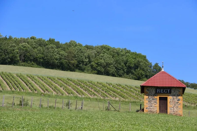 VTT Circuit VTT 75 - Le Cret du Recy — Savigny