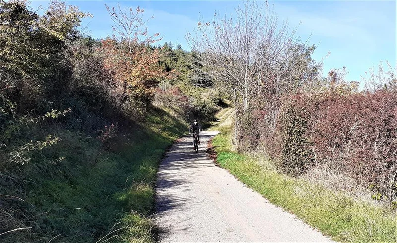 VTT Circuit VTT n°2 - Sur les hauteurs d'Issoire — Issoire