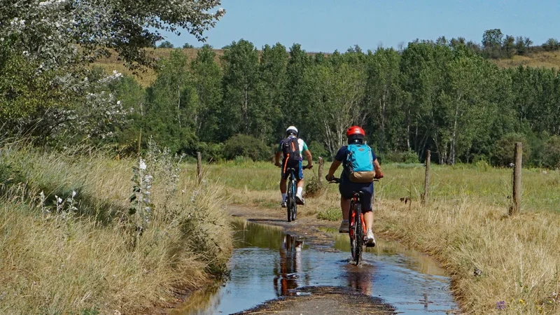VTT Les rives de l'Allier à VTT — Le Cendre