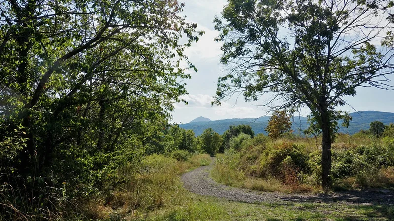VTT Du plateau de la Bade aux côteaux de Châteaugay à VTT — Blanzat