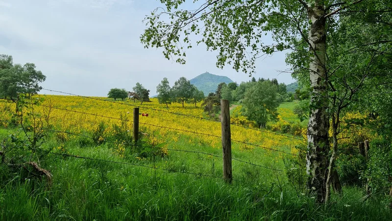 VTT La Croix de Ternant depuis le puy des Goules à VTT — Orcines