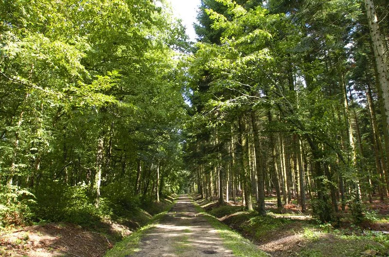 VTT Circuit VTT n°27 – Tour de la Comté — Vic-le-Comte