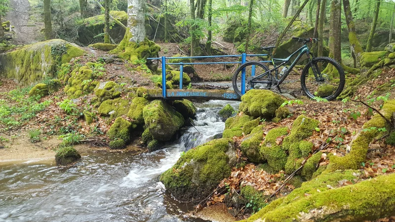 VTT Circuit n°28 - L'appel de la forêt - Espace VTT-FFC Massif des Bois Noirs — Saint-Victor-Montvianeix