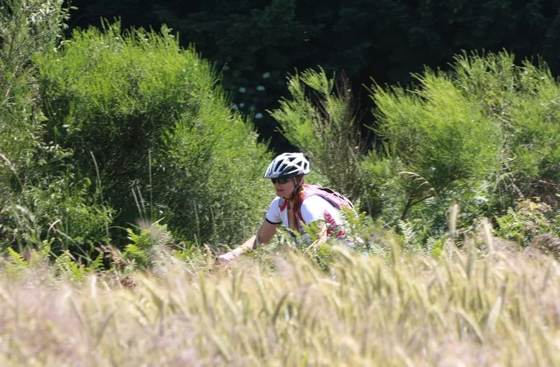VTT Le débutant (circuit n°14) — Noirétable