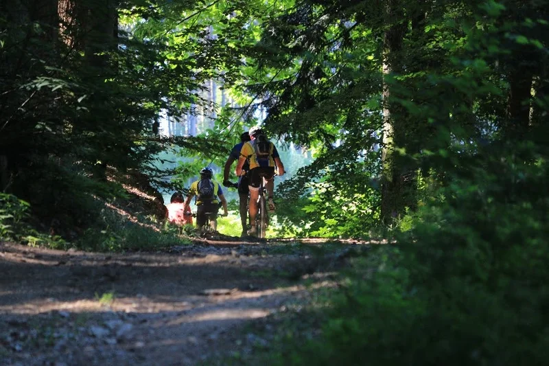 VTT Le Pradal (circuit n°44) — Celles-sur-Durolle