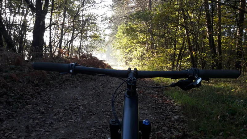 VTT Circuit n°47 - Pas du loup - Espace VTT-FFC Massif des Bois Noirs — Thiers
