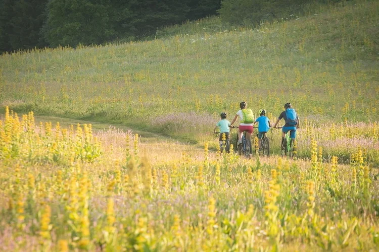VTT Au fil des Lauzes (Base VTT FFC Autrans-Méaudre en Vercors - Parcours n°2) — Méaudre