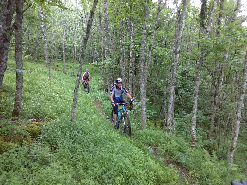 VTT La Goulandière (Vercors Coulmes-Royans n° 20) — Presles