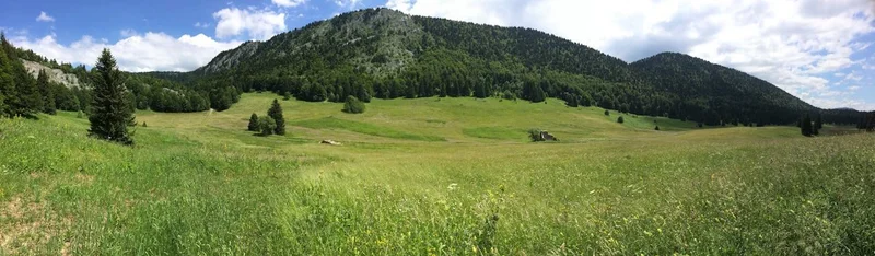 VTT La Royale (Villard-Corrençon n°49) (0) — Corrençon-en-Vercors