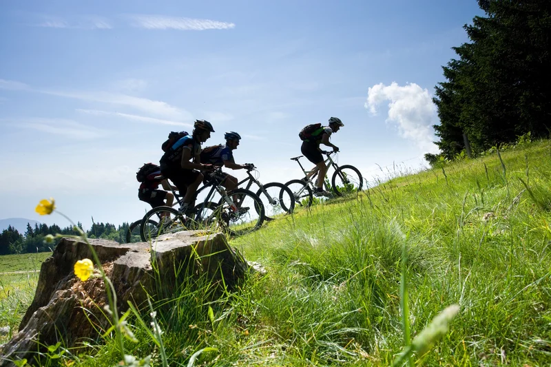 VTT Le Bois de la Crose (Base VTT FFC Vercors Trièves - parcours n° 53) — Saint-Andéol