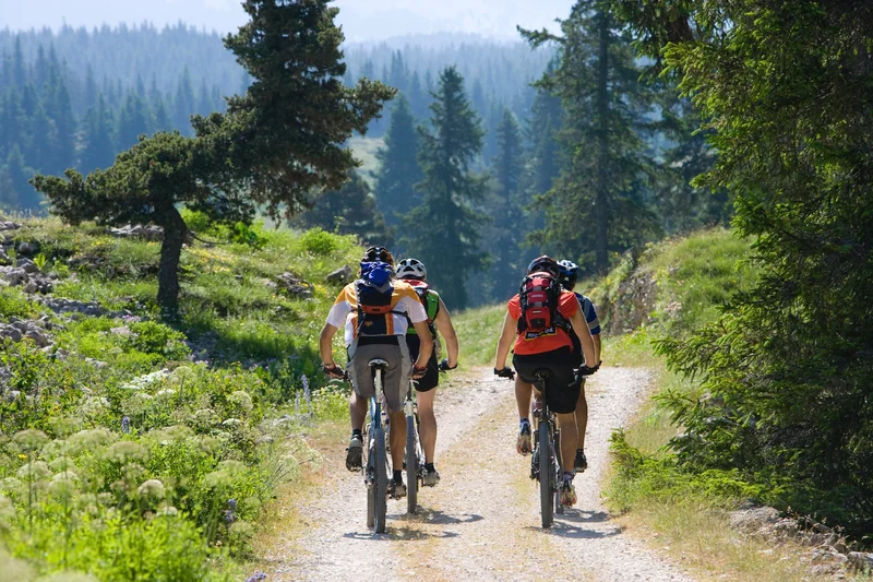 VTT Le Clariant (Villard - Corrençon n°47) — Villard-de-Lans