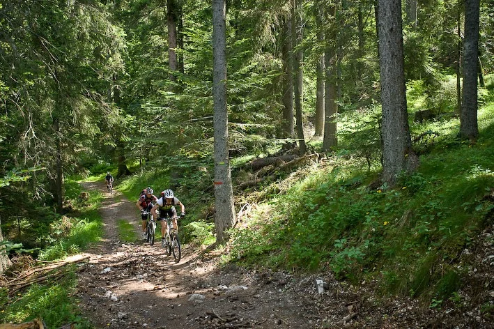 VTT Pra l'Etang (Coulmes-Royans n°34) — Presles