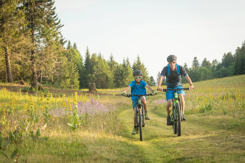 VTT Sapin Bellier (Villard-Corrençon n°48) — Villard-de-Lans