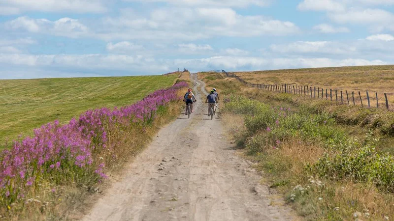 VTT Circuit VTT itinérant en 4 jours - Pays d'Issoire côté Cézallier — Issoire